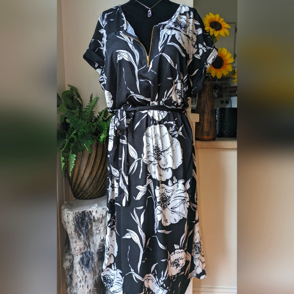NWT Beechers Brook dress.  LG